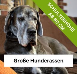 Große Hunderassen