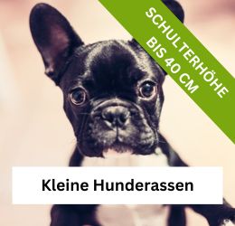 Kleine Hunderassen