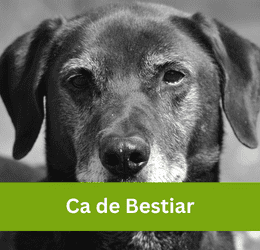 Ca de Bestiar