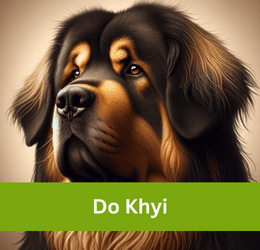 Do Khyi
