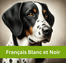 FRANÇAIS BLANC ET NOIR