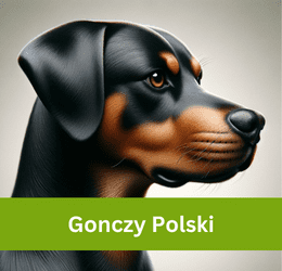 Gonczy Polski