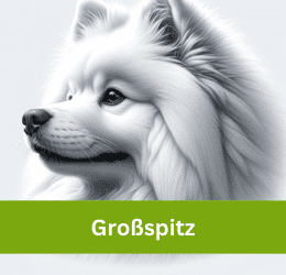 Großspitz