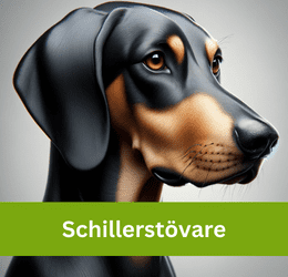 SCHILLERSTÖVARE