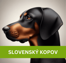 SLOVENSKÝ KOPOV