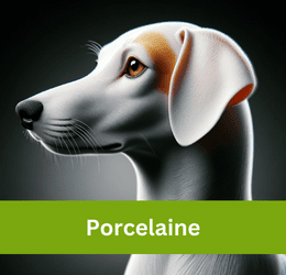 porcelaine