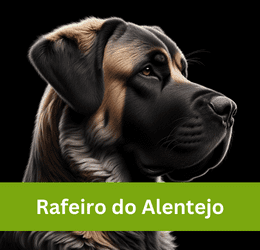 rafeiro do alentejo
