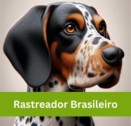 rastreador brasileiro