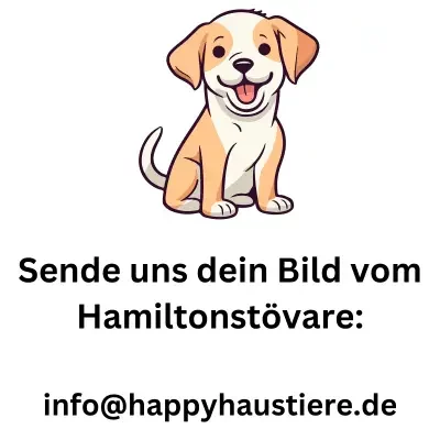 Hamiltonstövare
